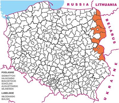 Wall-building policy: nationalist space management and borderphobia as right-wing populists' tools for doing authoritarian politics